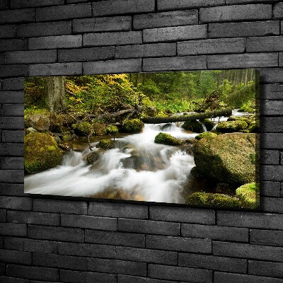 Canvas foto Olczyski-stroom