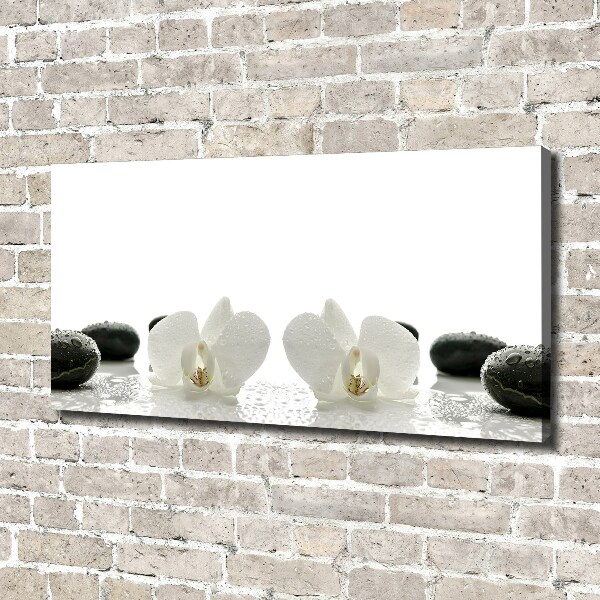 Schilderij op canvas Orchidee