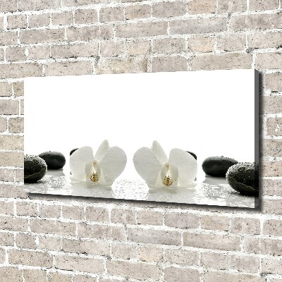 Schilderij op canvas Orchidee