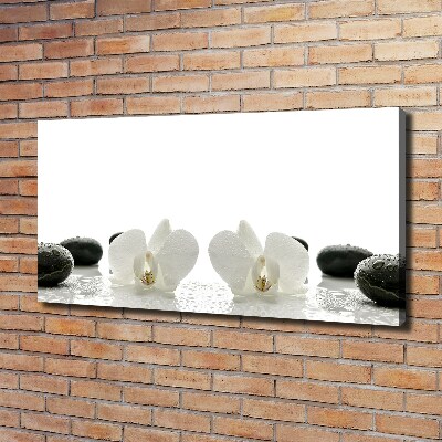 Schilderij op canvas Orchidee