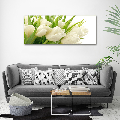 Foto canvas Witte tulpen