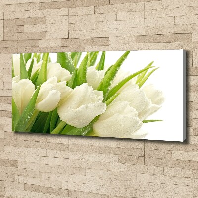 Foto canvas Witte tulpen