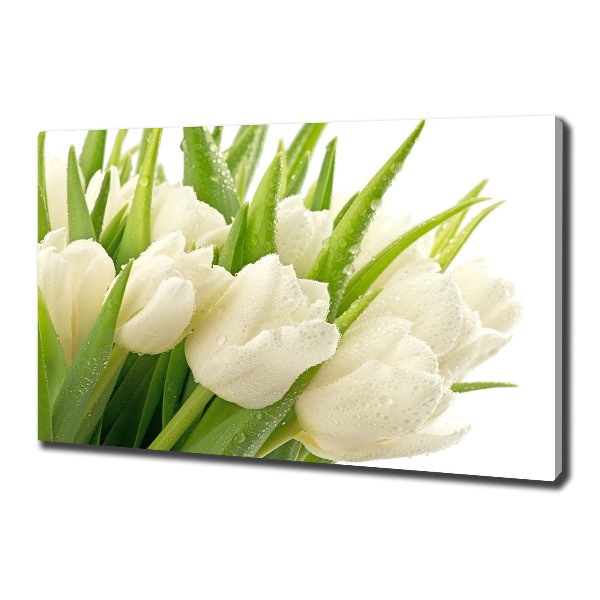 Foto canvas Witte tulpen