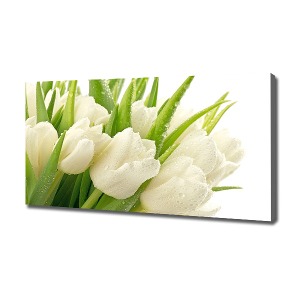 Foto canvas Witte tulpen