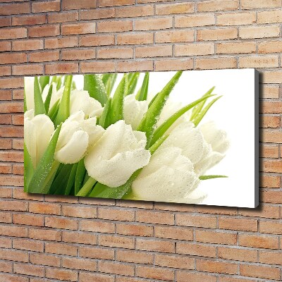 Foto canvas Witte tulpen