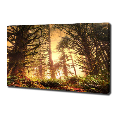 Schilderij op canvas regenwoud