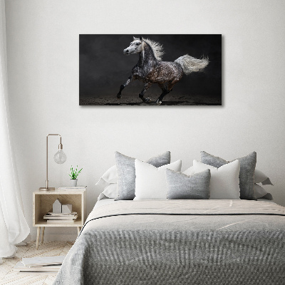 Foto op canvas Grijze Arabische paard