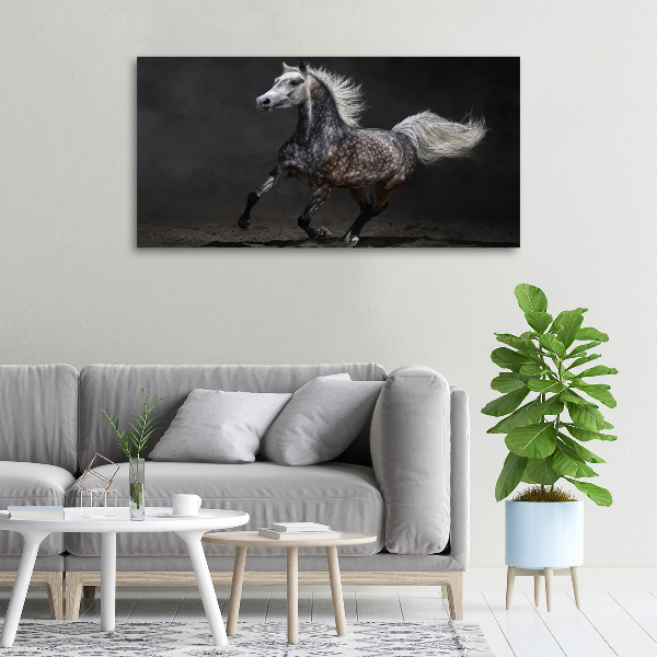 Foto op canvas Grijze Arabische paard