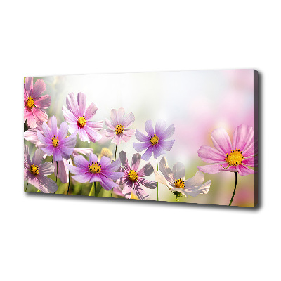 Foto op canvas Bloemen in de weide