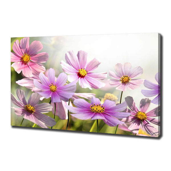 Foto op canvas Bloemen in de weide