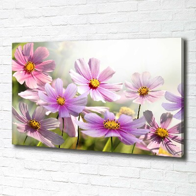 Foto op canvas Bloemen in de weide