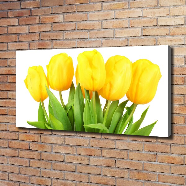 Canvas foto Gele tulpen