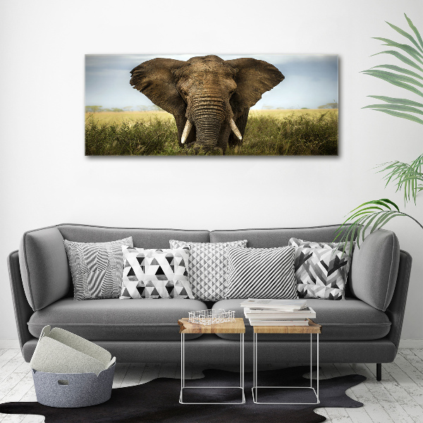 Canvas schilderij Olifant op de savanne