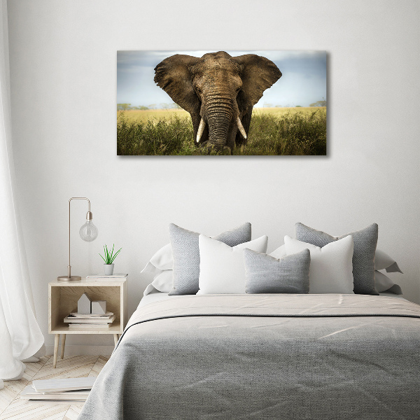 Canvas schilderij Olifant op de savanne
