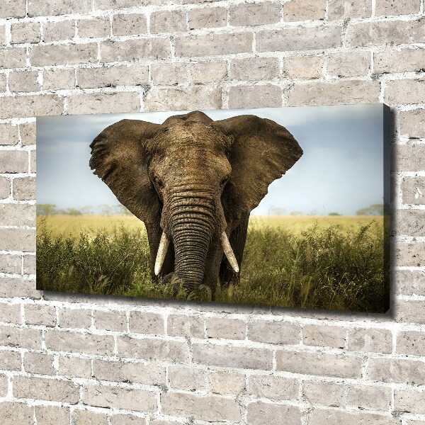Canvas schilderij Olifant op de savanne