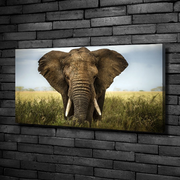 Canvas schilderij Olifant op de savanne