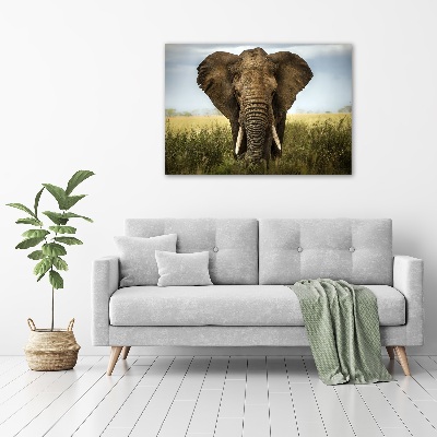 Canvas schilderij Olifant op de savanne