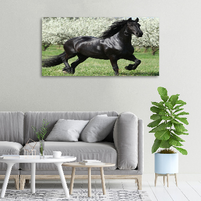 Schilderij op canvas Zwarte paardenbloemen