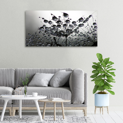 Canvas schilderij Paardenbloemzaden