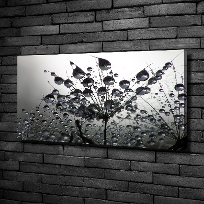 Canvas schilderij Paardenbloemzaden