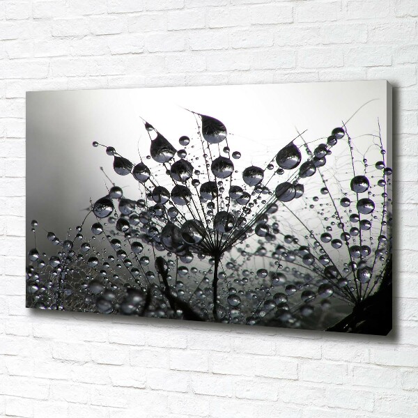 Canvas schilderij Paardenbloemzaden