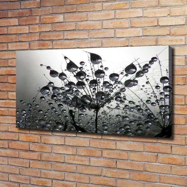 Canvas schilderij Paardenbloemzaden