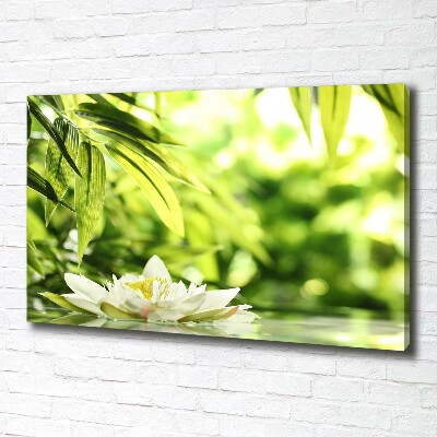 Schilderij op canvas Waterlelie