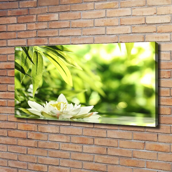 Schilderij op canvas Waterlelie