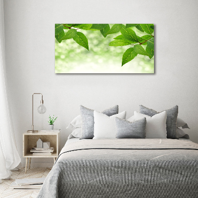 Foto canvas Groene bladeren