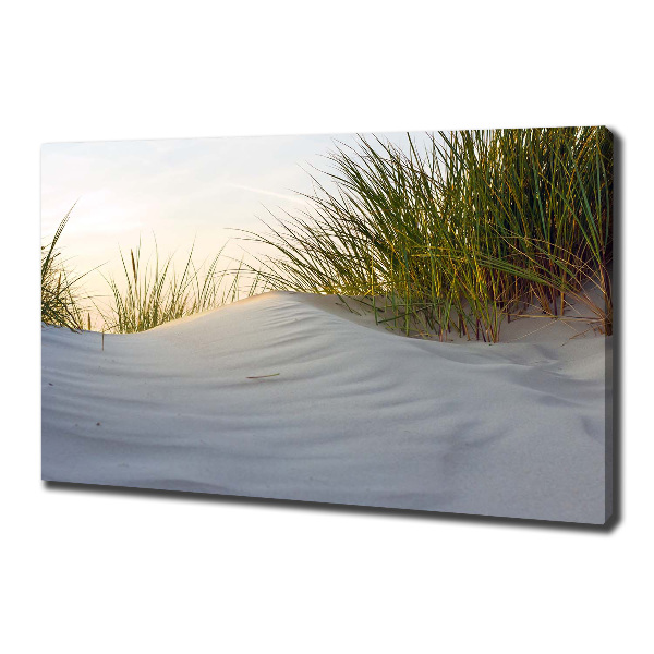 Foto op canvas duinen aan zee