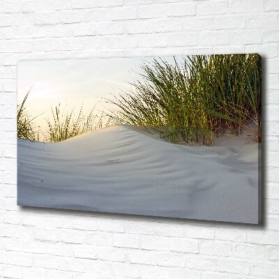 Foto op canvas duinen aan zee