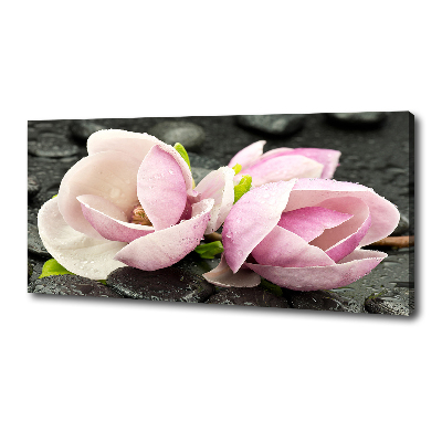 Canvas foto Magnolia zensteen