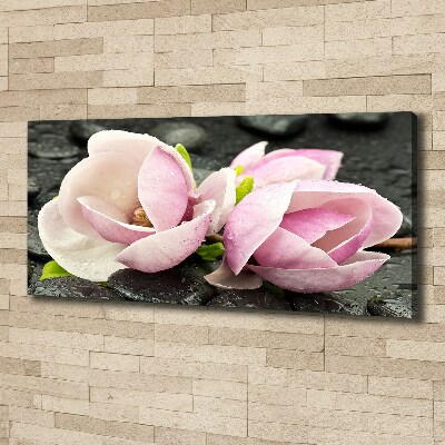 Canvas foto Magnolia zensteen