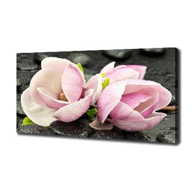 Canvas foto Magnolia zensteen