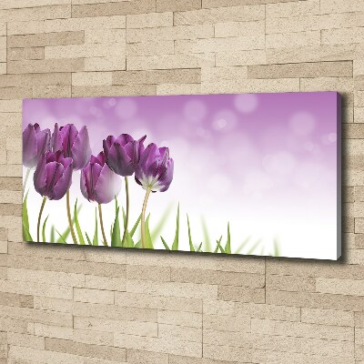 Schilderij op canvas Paarse tulpen