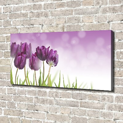 Schilderij op canvas Paarse tulpen