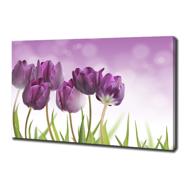 Schilderij op canvas Paarse tulpen