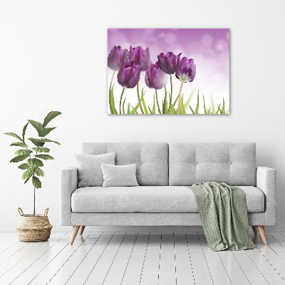 Schilderij op canvas Paarse tulpen