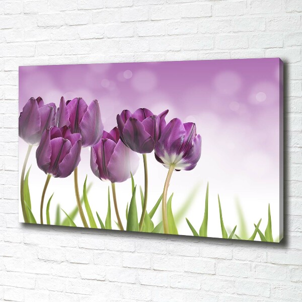 Schilderij op canvas Paarse tulpen