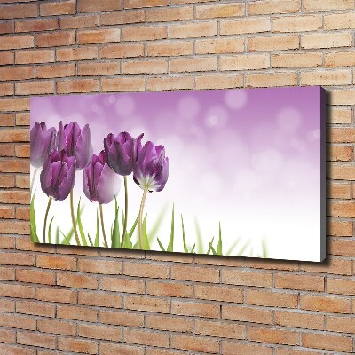 Schilderij op canvas Paarse tulpen