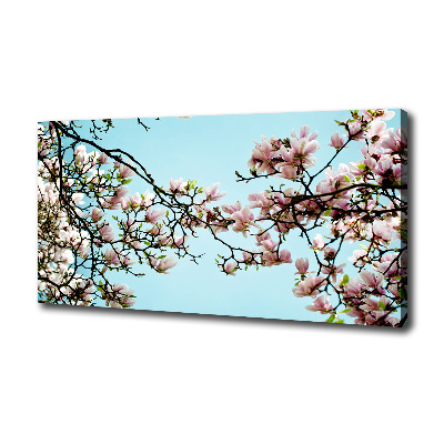 Foto canvas Magnolia bloemen