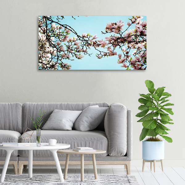 Foto canvas Magnolia bloemen