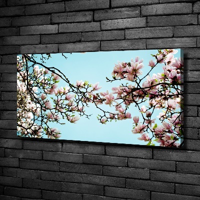 Foto canvas Magnolia bloemen