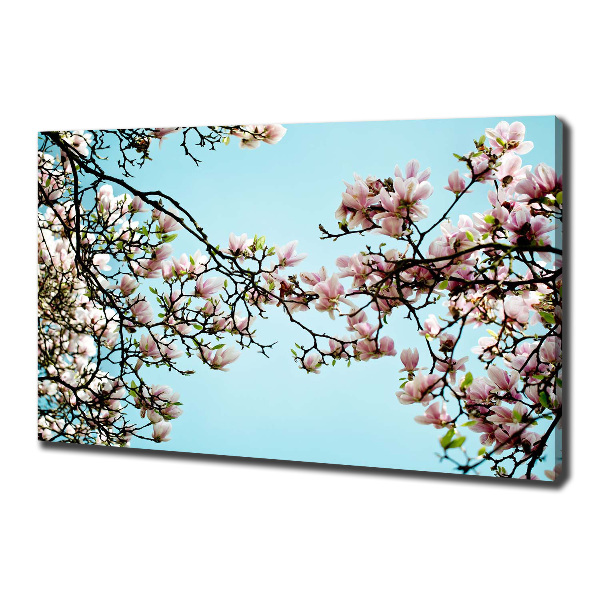 Foto canvas Magnolia bloemen