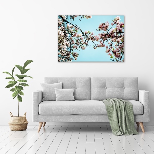 Foto canvas Magnolia bloemen