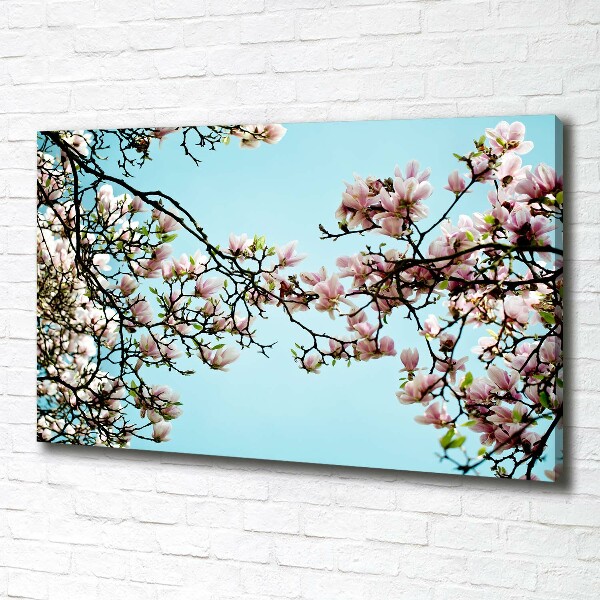 Foto canvas Magnolia bloemen
