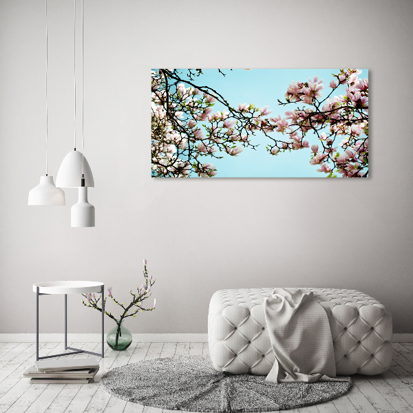Foto canvas Magnolia bloemen
