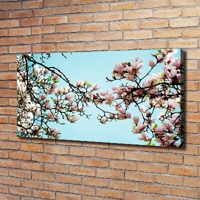 Foto canvas Magnolia bloemen