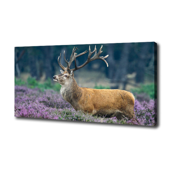 Canvas foto Hert tussen de lavendel