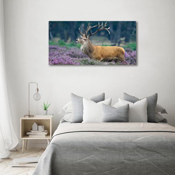 Canvas foto Hert tussen de lavendel